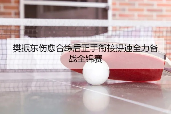 樊振东伤愈合练后正手衔接提速全力备战全锦赛